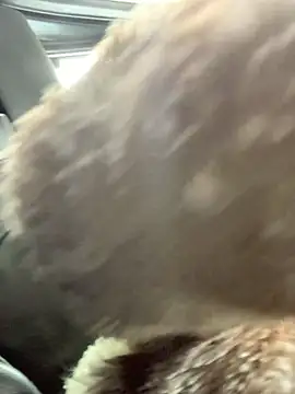 Emily-Fire online show from March 5, 2026, 7:21 pm