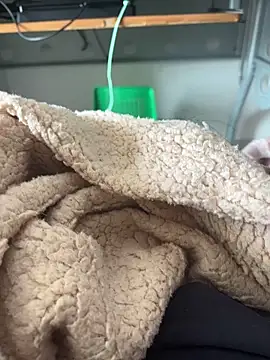 D4n13l47 online show from March 4, 2026, 9:59 am