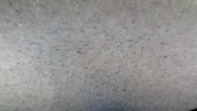 machodotado97 online show from March 15, 2026, 5:13 am