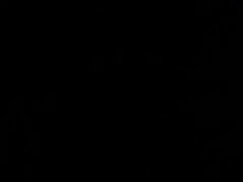 santiago and camila online show from March 12, 2026, 5:08 pm