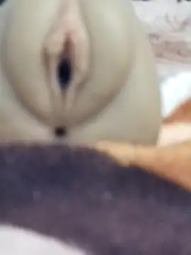 Mikecrazyhy online show from February 25, 2026, 3:16 am