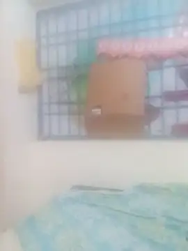 keerthy telugu online show from March 12, 2026, 4:24 pm