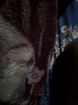 rmriya online show from February 27, 2026, 4:40 pm