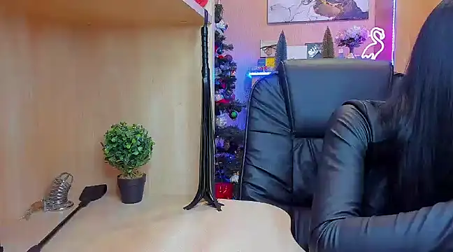 KristiTopxx online show from December 28, 2024, 9:51 pm