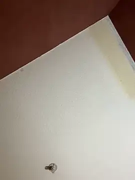 Snapshot of MoonGoddess424 chatting on February 24, 2026, 4:10 am MoonGoddess424 online show from February 24, 2026, 4:10 am