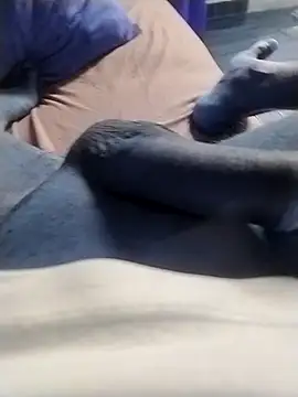 casal spzl online show from March 9, 2026, 10:08 am