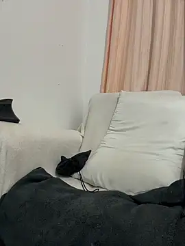 paula p07 online show from April 9, 2026, 10:09 am