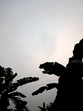 JenyLy68 online show from March 27, 2026, 12:27 am