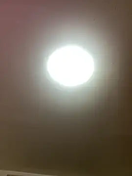 KarmaFoxx online show from March 26, 2026, 3:01 am