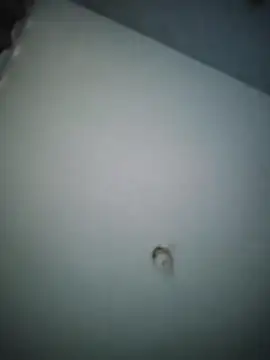 misteriosocam40 online show from April 9, 2026, 5:40 pm