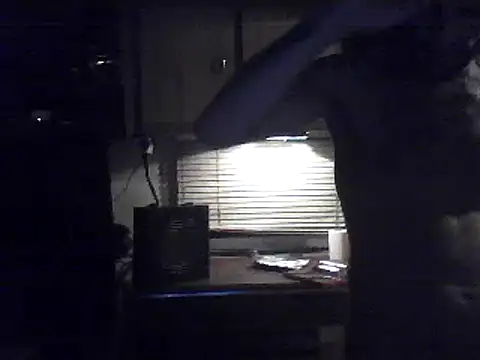 Snapshot of Alcoyanos chatting on June 13, 2026, 12:08 am Alcoyanos online show from June 13, 2026, 12:08 am