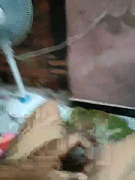 Daddy 883 online show from March 10, 2026, 12:48 am