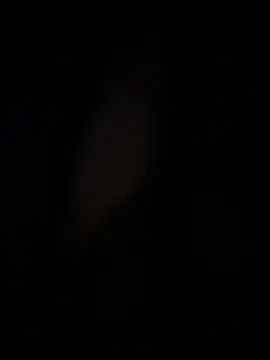 amartinezszz online show from March 15, 2026, 8:53 am