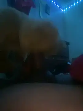 Bigcock127 online show from March 31, 2026, 8:37 am