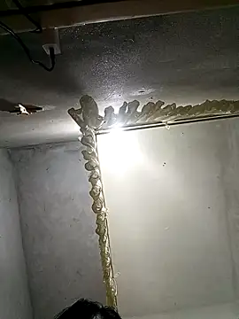 Candy-sexyy online show from April 3, 2026, 6:44 am