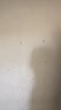 hornysofiya online show from April 13, 2026, 9:37 am