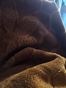 sexy-girl147 online show from April 5, 2026, 9:12 pm