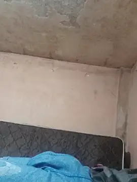 Snapshot of Alcon347 chatting on April 8, 2026, 1:16 am Alcon347 online show from April 8, 2026, 1:16 am