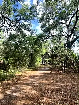 Pussymuncher822 online show from April 22, 2026, 1:23 pm