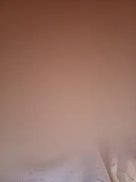 Carolinamascara online show from April 18, 2026, 3:54 am