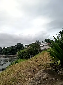 rogeriobastospqdt online show from April 9, 2026, 7:41 pm