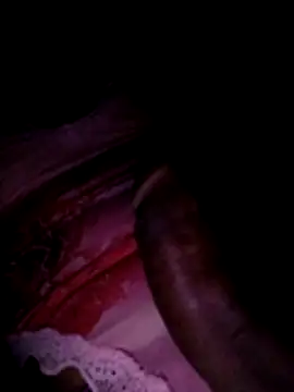 Pipegrandg online show from April 14, 2026, 4:07 am