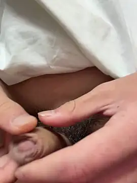 DD-101 online show from April 29, 2026, 12:20 pm