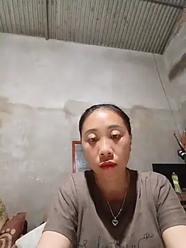 Jinli 01 online show from July 25, 2026, 1:19 pm