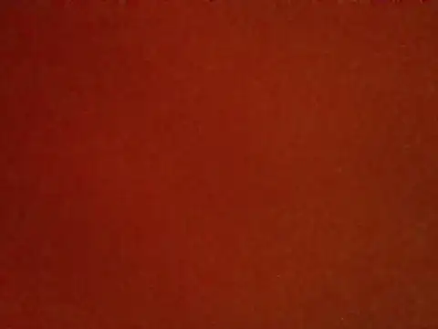 Snapshot of StarBelle chatting on May 30, 2026, 5:04 am StarBelle online show from May 30, 2026, 5:04 am