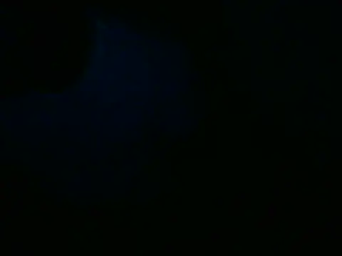 Snapshot of CasalNaore chatting on May 27, 2026, 2:52 am CasalNaore online show from May 27, 2026, 2:52 am