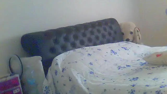 Snapshot of Alaska-perla chatting on June 26, 2026, 9:14 am Alaska-perla online show from June 26, 2026, 9:14 am