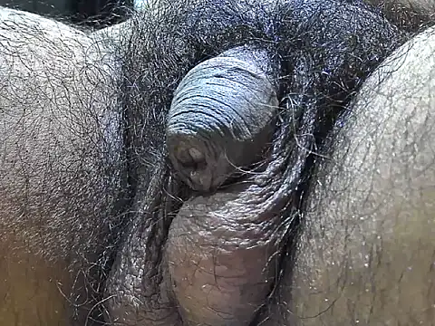 indiboy009 online show from September 9, 2025, 7:35 pm