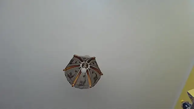 Butterfly PL online show from July 9, 2026, 8:07 am