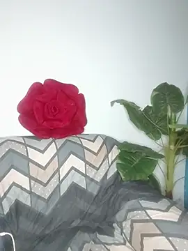 Snapshot of Cupid_Mayra chatting on August 5, 2026, 3:04 pm Cupid Mayra online show from August 5, 2026, 3:04 pm
