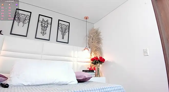 dakota morgan online show from July 8, 2026, 12:53 pm
