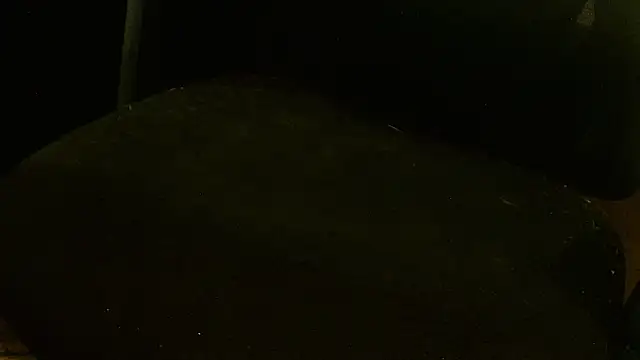 MagicCockMan online show from June 20, 2026, 3:20 am