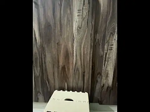 Snapshot of SatBull007 chatting on November 23, 2025, 7:52 am SatBull007 online show from November 23, 2025, 7:52 am