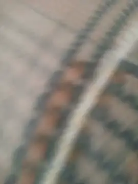 Snapshot of Prettiebri chatting on July 12, 2026, 2:08 pm Prettiebri online show from July 12, 2026, 2:08 pm