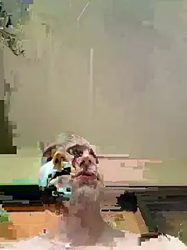 Snapshot of Showrunnerwright1on1 chatting on July 4, 2026, 10:49 pm Showrunnerwright1on1 online show from July 4, 2026, 10:49 pm
