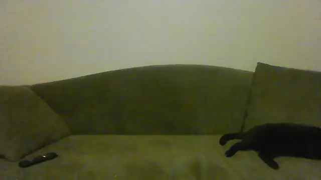 BuddingRose2323 online show from July 23, 2026, 2:53 am