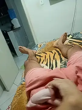 novimzinho online show from August 3, 2026, 9:29 pm