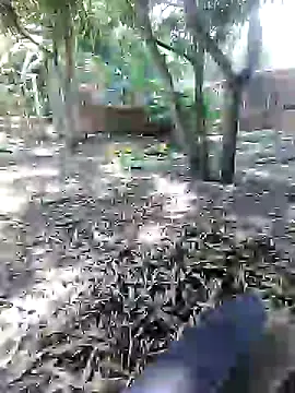 mutrox50 online show from February 24, 2025, 5:20 pm