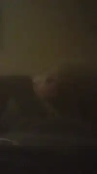 Biknight online show from December 9, 2024, 5:07 am