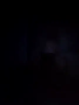 Biknight online show from December 12, 2024, 12:59 am