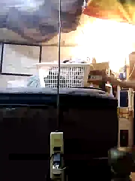 Biknight online show from December 31, 2024, 11:49 pm