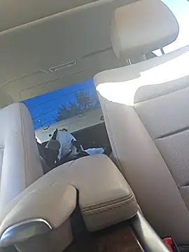 UncutHammer69 online show from September 28, 2025, 4:12 pm