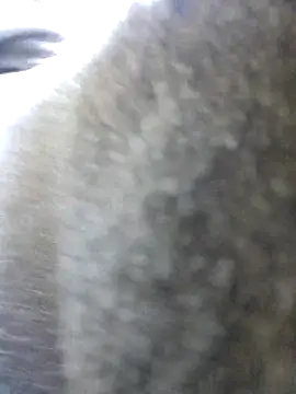 UncutHammer69 online show from October 26, 2025, 11:53 pm