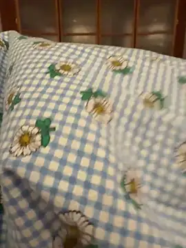 geilerboy2628 online show from February 10, 2026, 11:20 pm