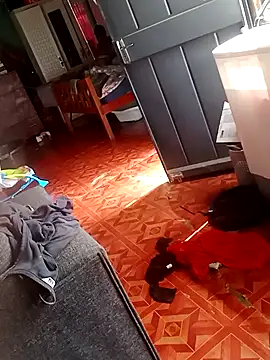 2soyte online show from September 26, 2025, 8:29 am