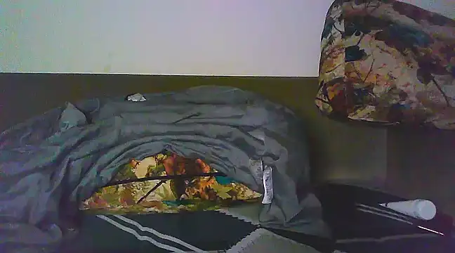 Vbestshow online show from February 5, 2025, 6:26 pm